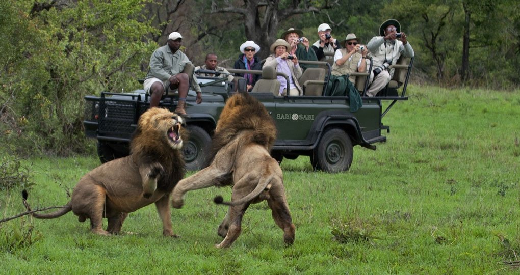 sabisabigamedrive